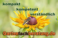 Gartenfachberatung