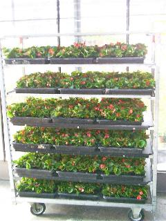 Wappenanlage 2004 | Verband Wohneigentum e.V.