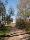 Weg zu Schauinsland auf'm Gumschlag