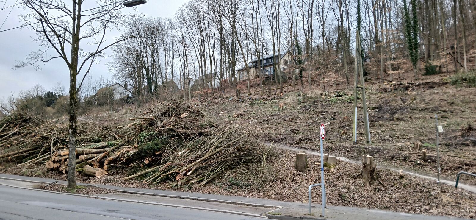 scheiermann