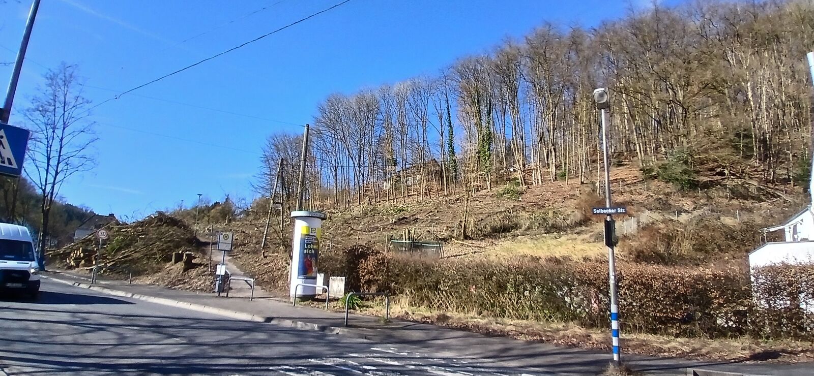 scheiermann