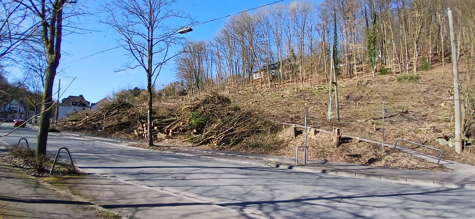 scheiermann