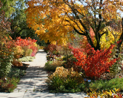 Herbstbild Gartenberater