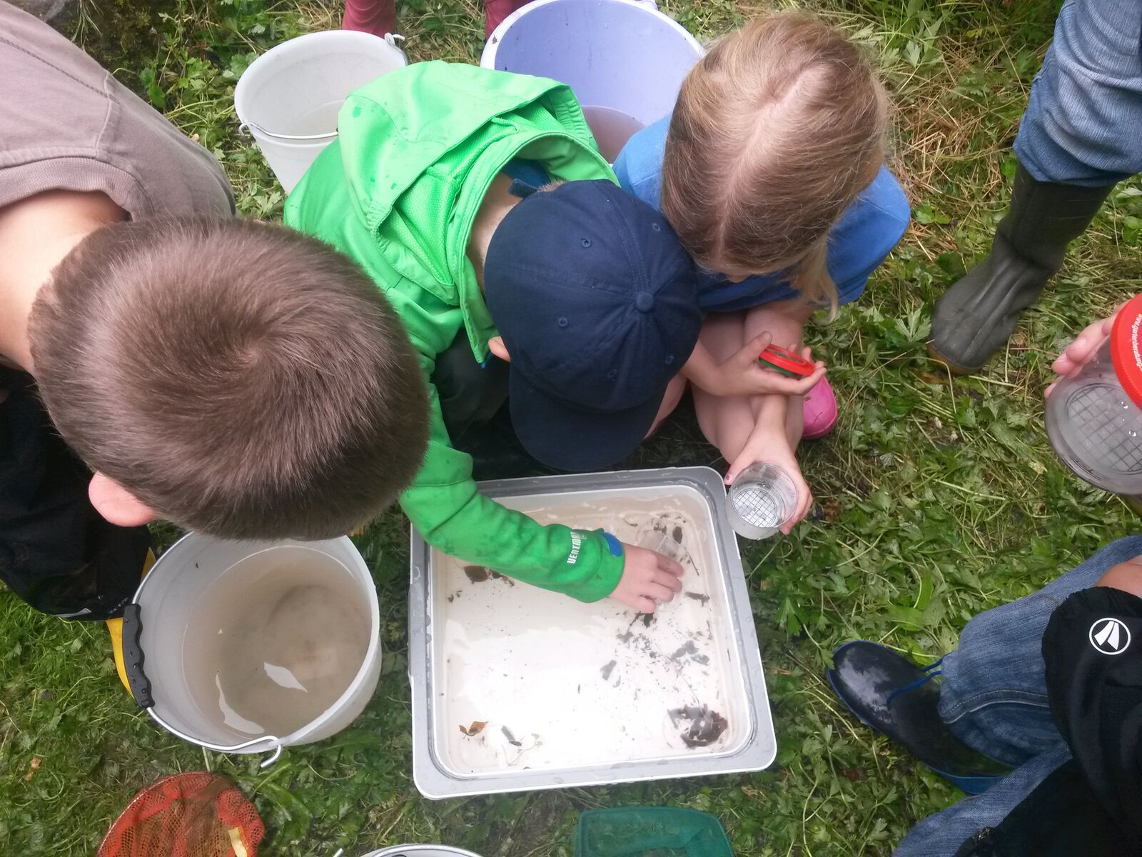 Kinder suchen nach Leben im Wasser