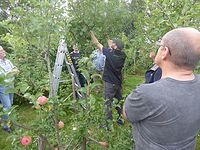 Themenbild: Sommerschnittkurs