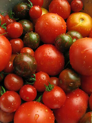 Reife Tomaten versch. Sorten