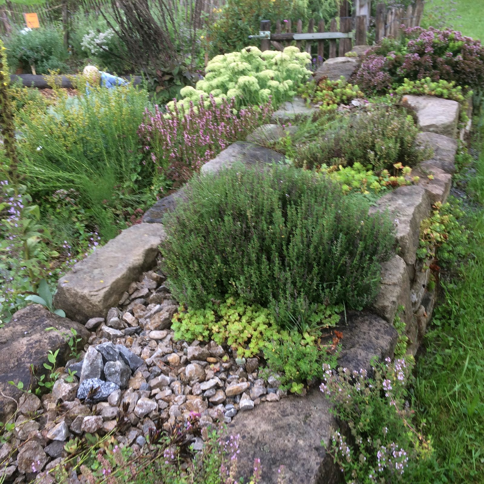 Garten Verband Wohneigentum E V