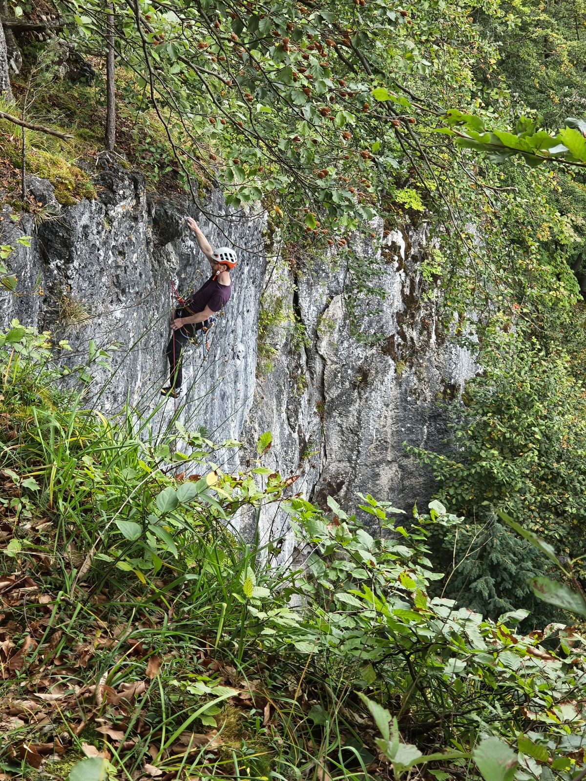 Siedlerwanderung