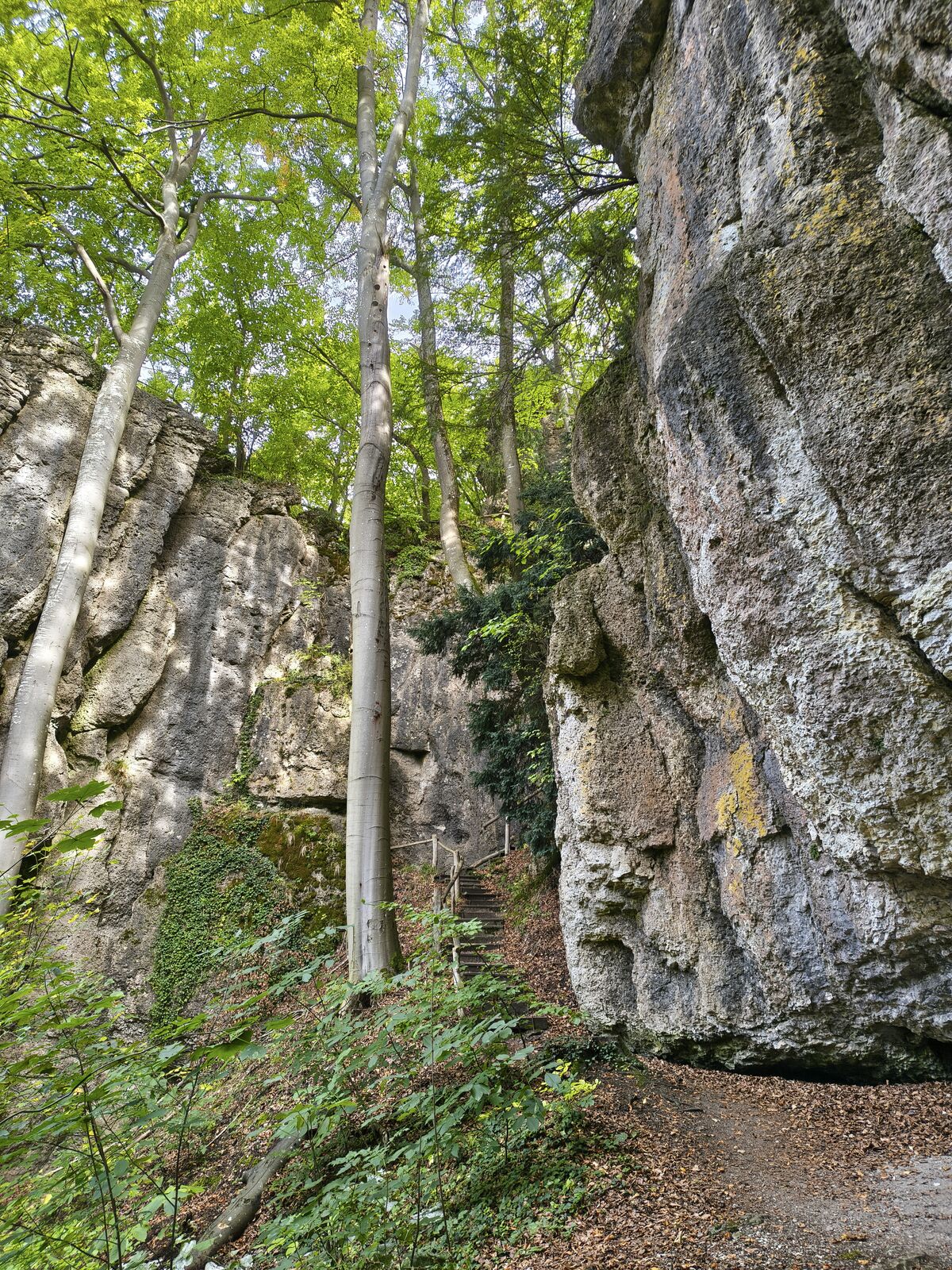 Siedlerwanderung