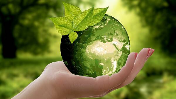 Themenbild: Hand, die eine grüne Weltkugel hält, oben links an dieser sind ein paar Blätter. Im Hindergrund sieht man einen Wald