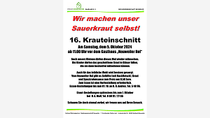 16. Krauteinschnitt