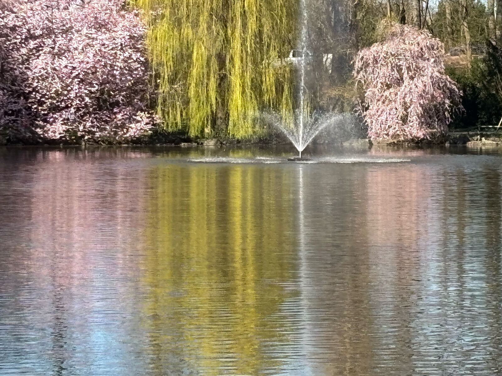 Frühling am Röhrensee