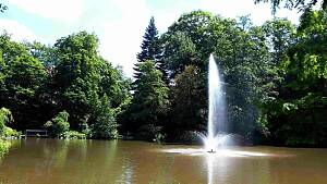 Naherholung ganz in der Nähe am Röhrensee