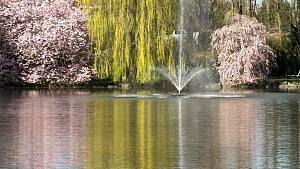 Frühling am Röhrensee