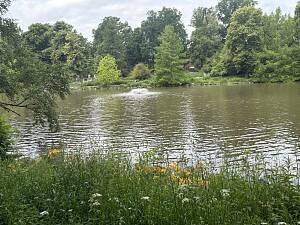 Röhrensee-Juni