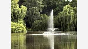 Röhrensee-zurück