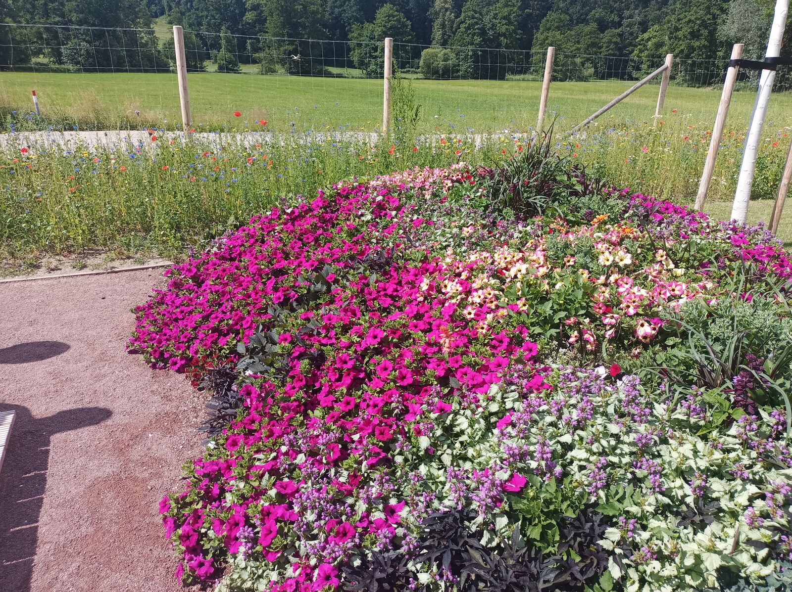 Blumen