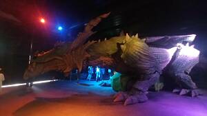 Drache