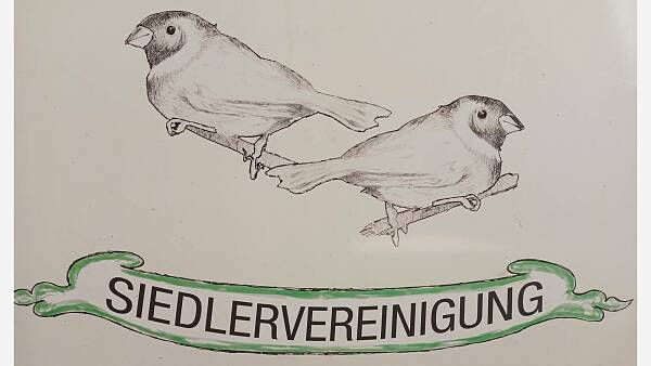 Themenbild: Spatzen
