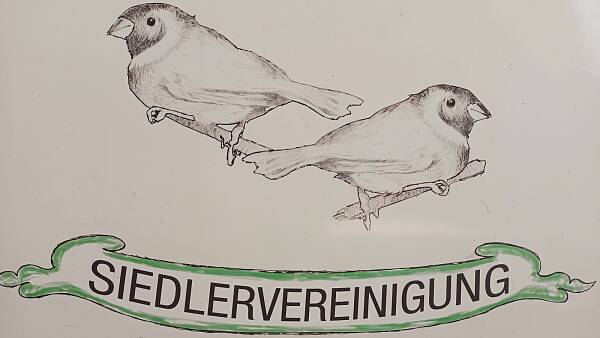 Themenbild: Spatzen Themenbild: Spatzen