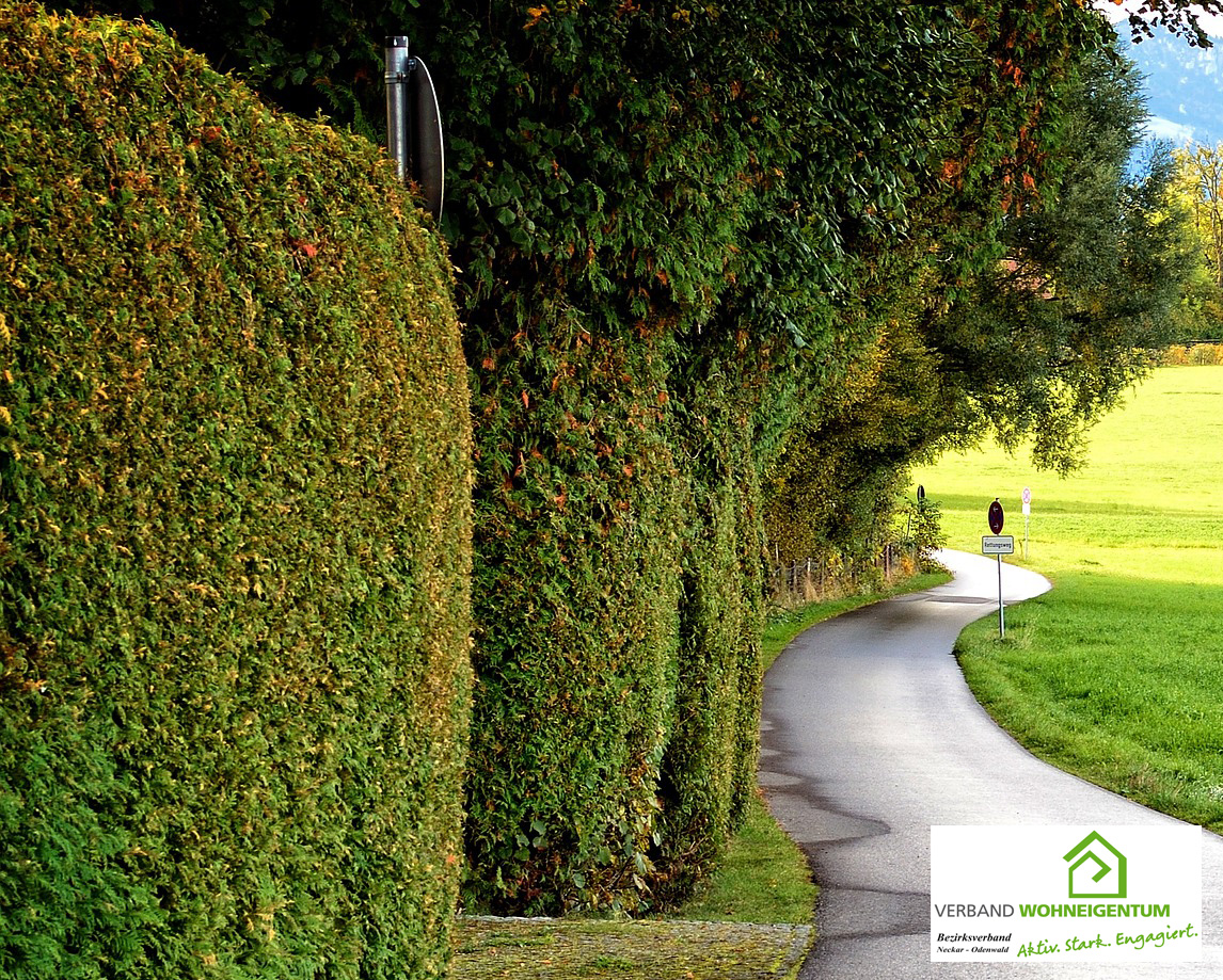 Überhängende Äste auf öffentliche Wege Verband Wohneigentum e. V.