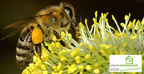 Insektenschutz