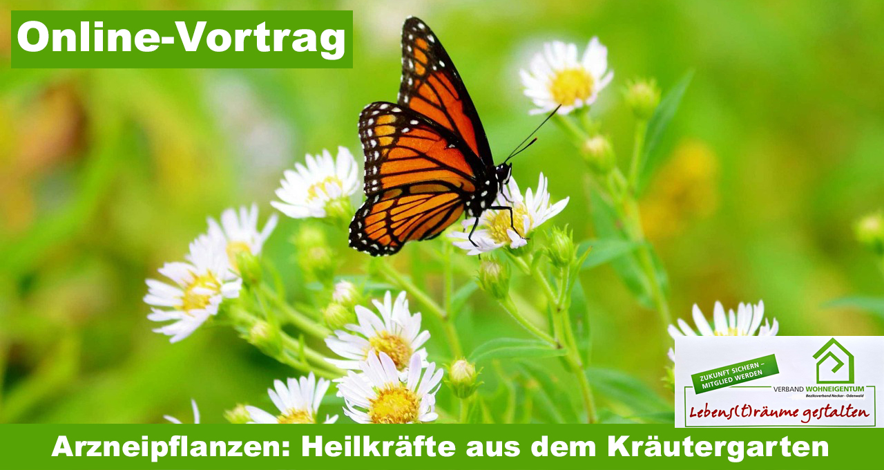Online-Vortrag: 