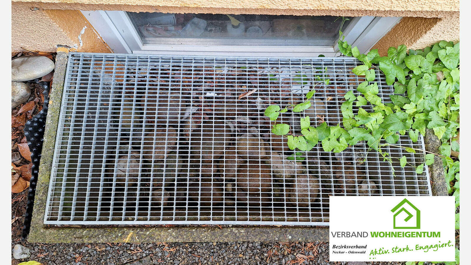 Lichtschachtabdeckung | Verband Wohneigentum e. V.