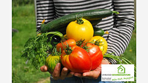 Der Eigenanbau von Obst und Gemüse reduziert den Energieverbrauch für Gewächshäuser, Transport und Kühlung bei erwerbsmäßig produzierten Nahrungsmitteln.