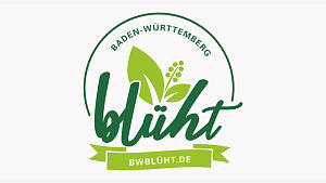 WETTBEWERB 