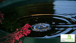 Wassersparen im Garten