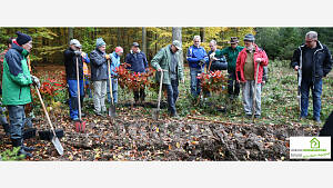 Baumpflanzaktionen im Waidachswald