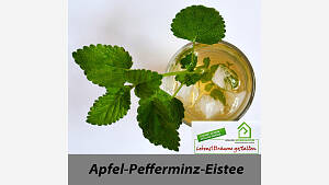 APFEL-PFEFFERMINZ-EISTEE