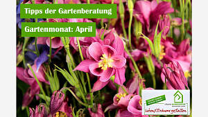 Gartenmonat: April