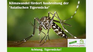 Achtung, Tigermücke!