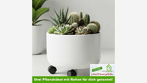 Pflanzkübel mit Rollen