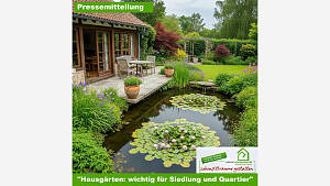 Pressemitteilung: 