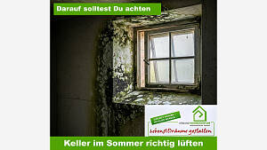 KELLER IM SOMMER: SO LÜFTEN SIE RICHTIG