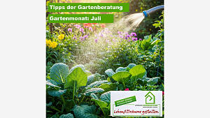 Gartenmonat: Juli