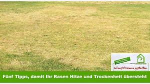 Fünf Tipps, damit Ihr Rasen Hitze und Trockenheit übersteht