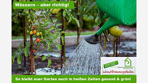 So wässern sie richtig