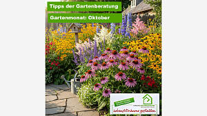 Gartenmonat: Oktober