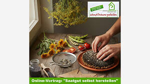 Online-Vortrag: 