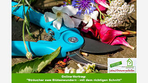 Online-Vortrag: 