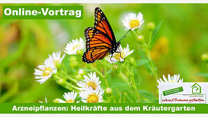 Online-Vortrag: 