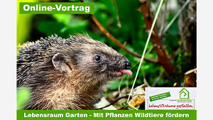 Online-Vortrag: 