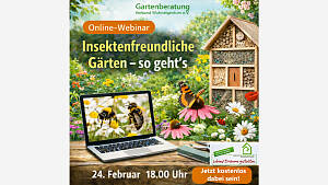 Online-Webinar: 