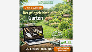 Online-Webinar: 
