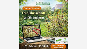 Online-Webinar: 