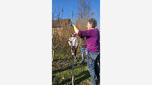 Großes Interesse beim Frühjahrsschnittkurs